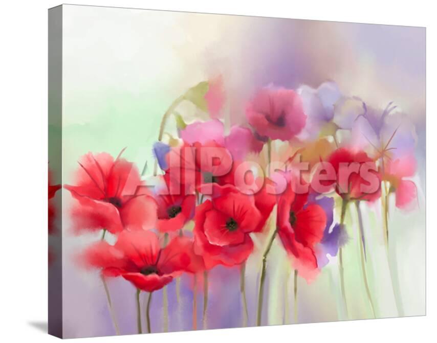 Watercolor Red Poppy Flowers Painting Flower Paint In Soft Color