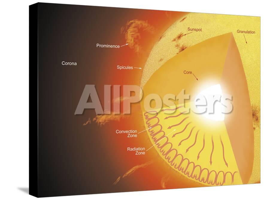 A Cutaway View Of The Sun Photographic Print Stocktrek Images Allposters Com