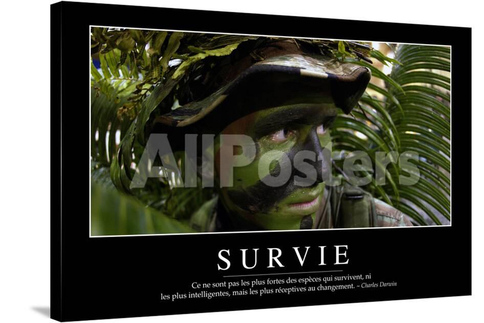 Survie Citation Et Affiche D Inspiration Et Motivation Photographic Print Allposters Com