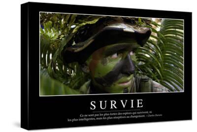Survie Citation Et Affiche D Inspiration Et Motivation Photographic Print Allposters Com