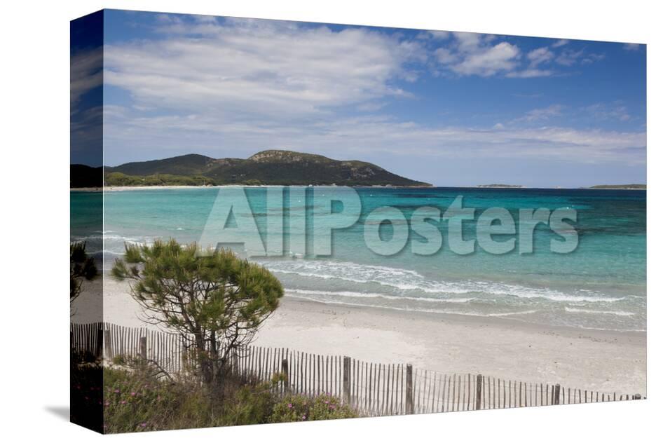 Plage De Palombaggia Beach Porto Vecchio Corsica France