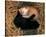 Two Ying Yang Kittens-null-Stretched Canvas