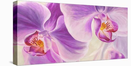 Purple Orchids-Cynthia Ann-Stretched Canvas