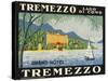 The Label for the Grand Hotel at Tremezzo on Lake Como-null-Stretched Canvas