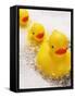 Rubber Ducks in Bath-John Miller-Framed Stretched Canvas