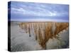 Beach in the Early Morning, Darss, Mecklenburg-Vorpommern, Germany-Thorsten Milse-Stretched Canvas