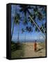 Buddhist Monk Looking up at Palm Trees Between Unawatuna and Weligama, Sri Lanka-Yadid Levy-Framed Stretched Canvas