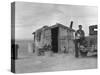 Migratory Mexican Field Worker's Home, Imperial Valley, California, c.1937-Dorothea Lange-Stretched Canvas