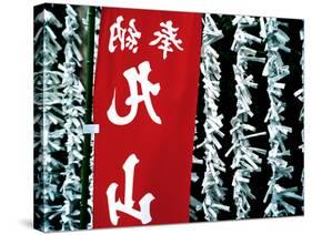 Fortune Papers at Shinto Shrine, Tokyo, Japan-Nancy & Steve Ross-Stretched Canvas