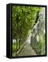 Lemon Groves, Amalfi Coast, Campania, Italy, Europe-Mark Mawson-Framed Stretched Canvas