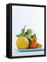 Still Life with Citrus Fruits-Armin Zogbaum-Framed Stretched Canvas