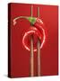 A Chili on Chopsticks-Marc O^ Finley-Stretched Canvas