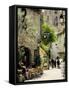 Medieval Street in Walled and Turreted Fortress of La Cite, Carcassonne, UNESCO World Heritge Site-Peter Richardson-Framed Stretched Canvas