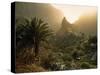 Masca, Tenerife, Canary Islands, Spain-Alan Copson-Stretched Canvas
