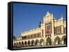 Main Market Square and the Cloth Hall, Cracow (Krakow), Poland-Steve Vidler-Framed Stretched Canvas