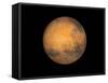 Planet Mars-Stocktrek Images-Framed Stretched Canvas
