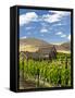 Barn in Vineyard, Yakima, Washington, USA-Richard Duval-Framed Stretched Canvas