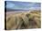 A Spring Evening at Holkham Bay, Norfolk, England-Jon Gibbs-Stretched Canvas