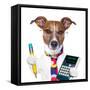 Secretary Dog-Javier Brosch-Framed Stretched Canvas