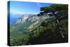 Cazorla National Park, Sierra Del Pozo, Andalucia, Spain-Duncan Maxwell-Stretched Canvas
