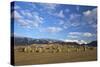 Castelrigg Megalithic Stone Circle in Winter with Helvellyn Range Behind-Peter Barritt-Stretched Canvas