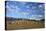 Castelrigg Megalithic Stone Circle in Winter with Helvellyn Range Behind-Peter Barritt-Stretched Canvas