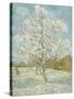 The Pink Peach Tree-Vincent van Gogh-Stretched Canvas