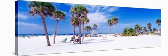 Palm Trees on the Beach, Siesta Key, Gulf of Mexico, Florida, USA-null-Stretched Canvas