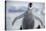 Emperor Penguin Chick in Antarctica-null-Stretched Canvas