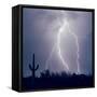Electric Desert III-Douglas Taylor-Framed Stretched Canvas