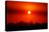 Smokey Sunset-Douglas Taylor-Stretched Canvas
