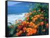 USA, California, California Poppies Along the Pacific Coast-Jaynes Gallery-Framed Stretched Canvas