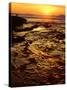 USA, California, San Diego, La Jolla Tide Pools on the Pacific Ocean-Jaynes Gallery-Stretched Canvas