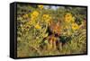 Timber Wolf Pups in Flowers-null-Framed Stretched Canvas