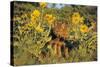 Timber Wolf Pups in Flowers-null-Stretched Canvas