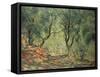 Olive Grove in the Moreno Garden, 1884-Claude Monet-Framed Stretched Canvas