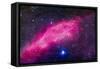 The California Nebula-Stocktrek Images-Framed Stretched Canvas