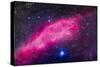 The California Nebula-Stocktrek Images-Stretched Canvas
