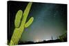 Stary Sky with Saguaro Cactus over Organ Pipe Cactus Nm, Arizona-Richard Wright-Stretched Canvas