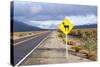 Guanaco Sign, Argentina-Peter Groenendijk-Stretched Canvas