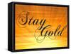 Stay Gold Ponyboy-null-Framed Stretched Canvas