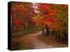 Country Road in the Fall, Vermont, USA-Charles Sleicher-Stretched Canvas