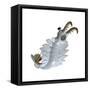 Anomalocaris from the Cambrian Period of the Paleozoic Era-null-Framed Stretched Canvas