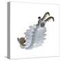 Anomalocaris from the Cambrian Period of the Paleozoic Era-null-Stretched Canvas