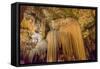 Luray Caverns, Virginia-RR-Framed Stretched Canvas