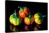 Colorful Eggplant Vegetable on Black Background-pritsadee-Stretched Canvas