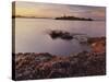 Lighthouse of Alcanada, Beach, Sea Grass, Dusk, Majorca, Spain-Rainer Mirau-Stretched Canvas