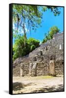 ¡Viva Mexico! Collection - Ruins of the ancient Mayan city of Calakmul II-Philippe Hugonnard-Framed Stretched Canvas