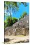 ¡Viva Mexico! Collection - Ruins of the ancient Mayan city of Calakmul II-Philippe Hugonnard-Stretched Canvas