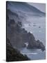 A Dream Sits Alone Along The Big Sur Coastline-Daniel Kuras-Stretched Canvas